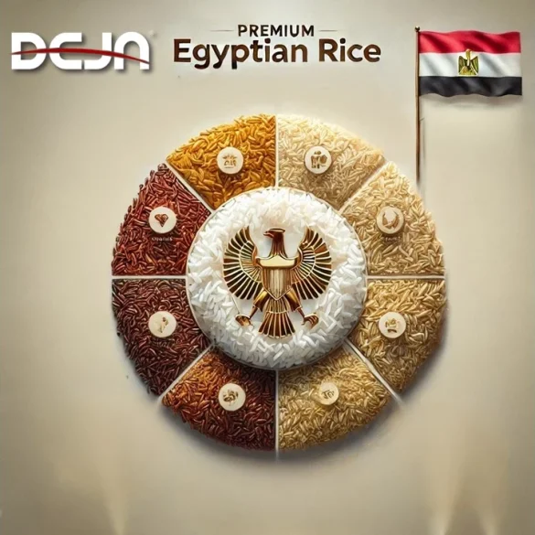 deja rice Egypt