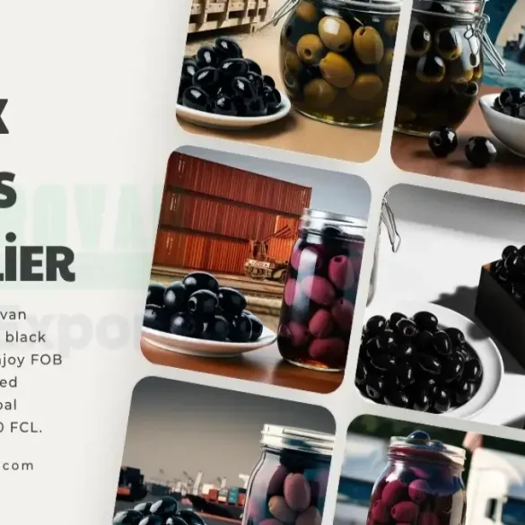 Black Olives Supplier: Eurovan Trading - Exporting Premium Black Olives Worldwide