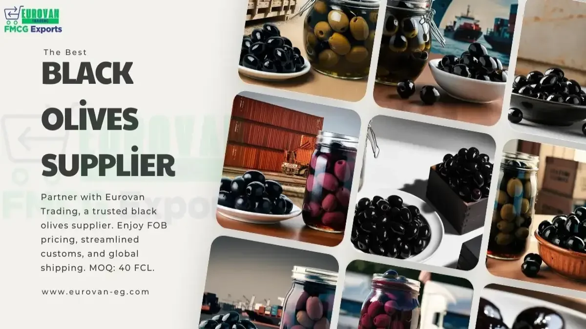 Black Olives Supplier: Eurovan Trading - Exporting Premium Black Olives Worldwide