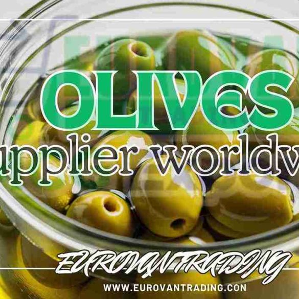 Olives Supplier from Egypt: Amazing Best Export & Import Factory