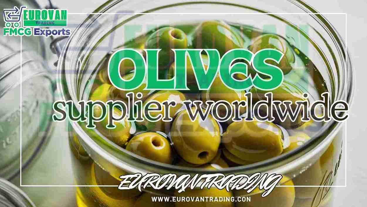 Olives Supplier from Egypt: Amazing Best Export & Import Factory