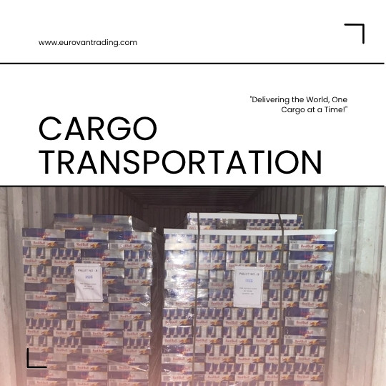 Market Insights & Trends Guiding Your Red Bull Wholesale Strategy with Eurovan Trading