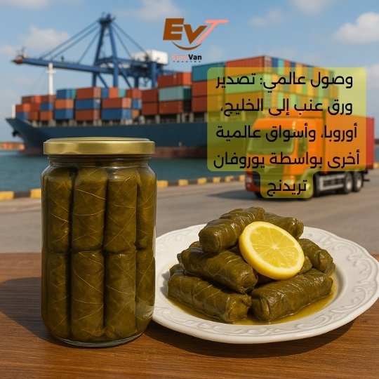 🌍 وصول عالمي تصدير ورق عنب إلى الخليج، أوروبا، وأسواق عالمية أخرى بواسطة يوروفان تريدنج