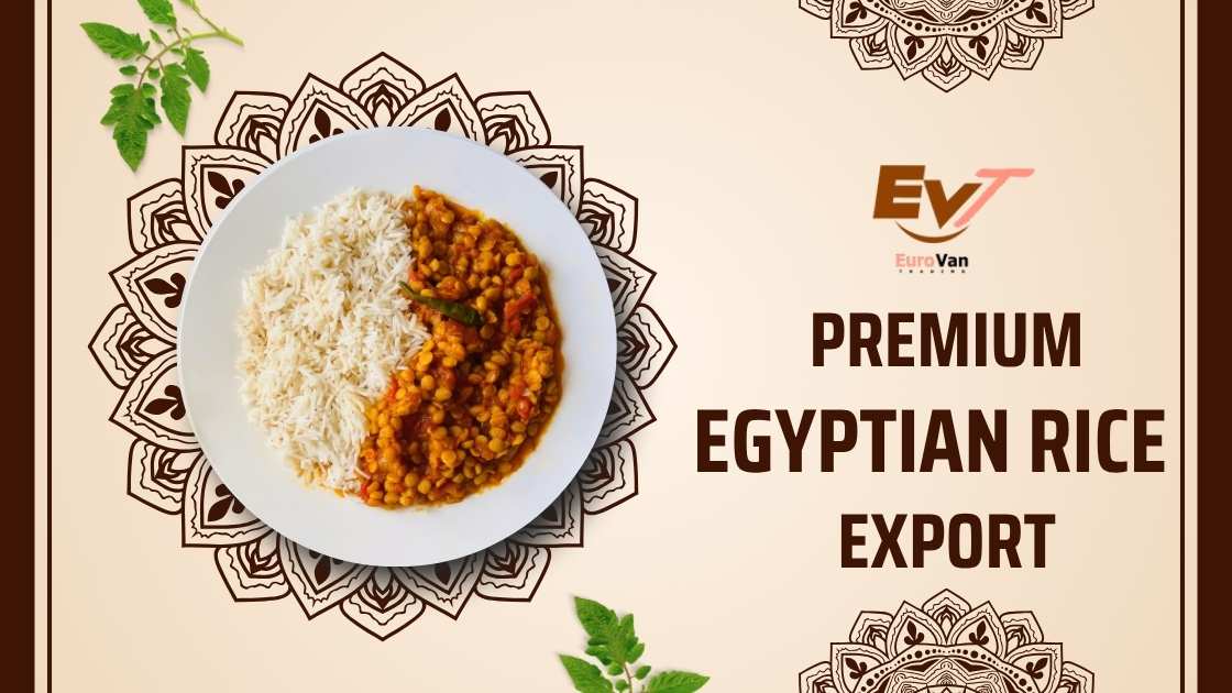 🌾 Premium Egyptian Rice Supplier Eurovan Trading – Your Gateway to Exporting Excellence