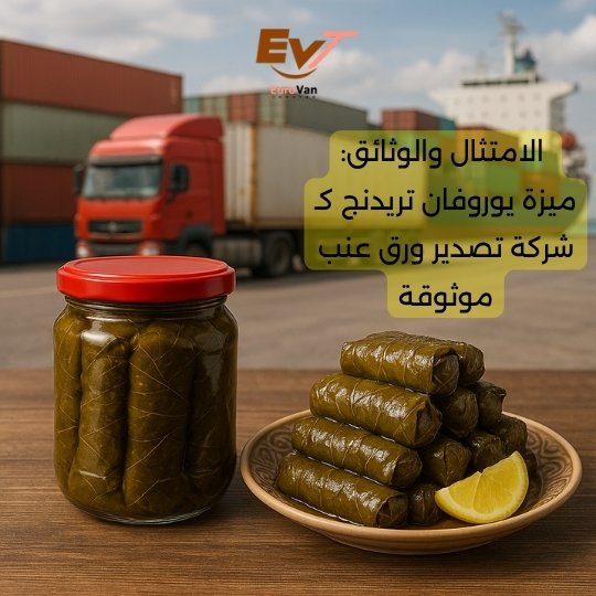 📄 الامتثال والوثائق ميزة يوروفان تريدنج كـ شركة تصدير ورق عنب موثوقة
