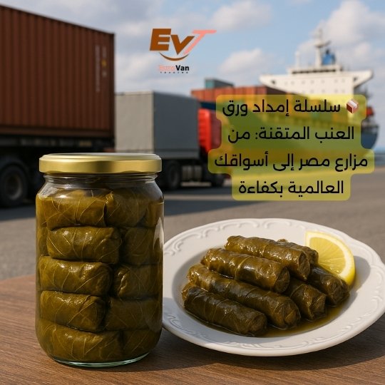 📦 سلسلة إمداد ورق العنب المتقنة من مزارع مصر إلى أسواقك العالمية بكفاءة