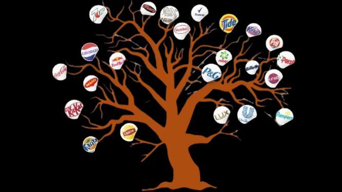 Partner with Eurovan Trading today and let us help you build a thriving and profitable business importing Indomie and other FMCG products (1)