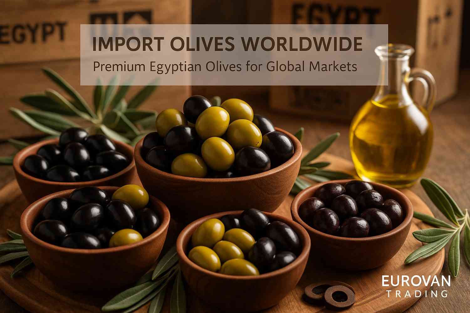 Premium Egyptian olives varieties in wooden bowls - green and black table olives for worldwide import with olive oil and Egypt shipping crates