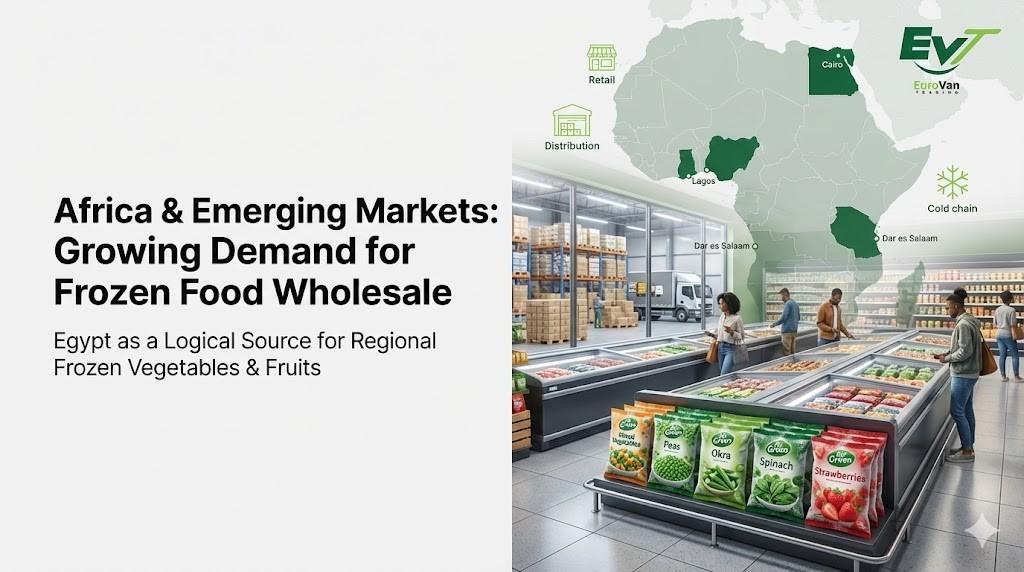 Africa & other emerging markets frozen food wholesale