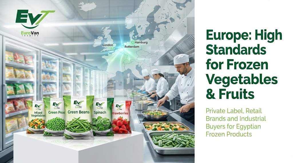 Europe A mature but hungry market frozen food wholesale