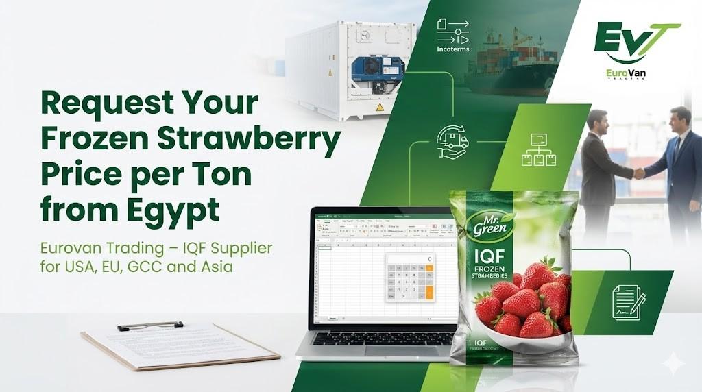 How to Import Frozen Strawberries from Eurovan Trading Step by Step
