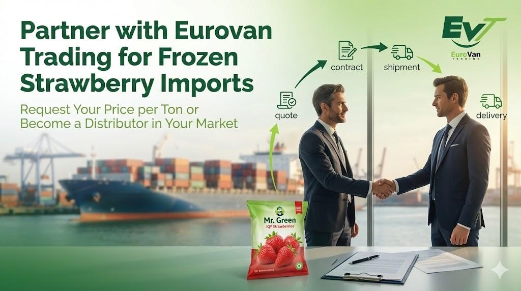 Why Importers Prefer Egyptian Frozen Strawberries from Eurovan Trading