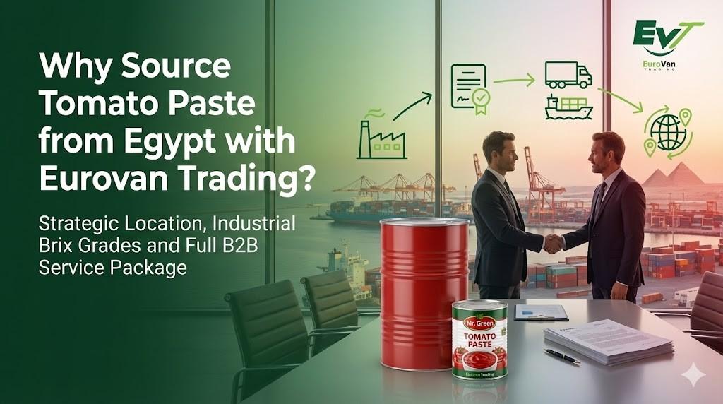 Why Source Tomato Paste from Egypt