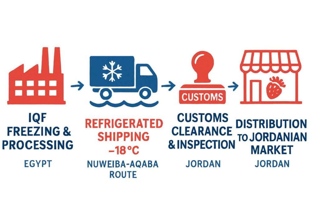 إنفوجرافيك يوضح خطوات استيراد وتوريد الفراولة المجمدة من مصر إلى الأردن، من التجميد والشحن المبرد حتى التوزيع في السوق الأردني.