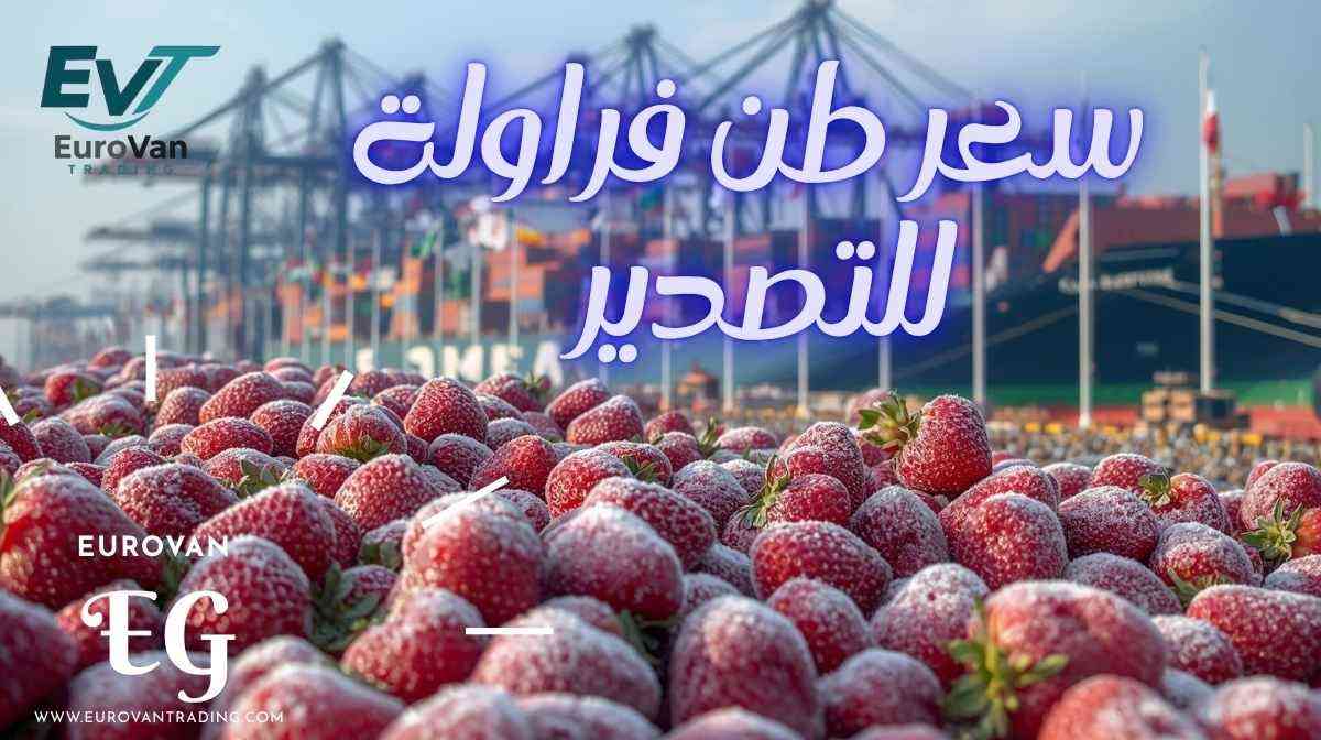 سعر طن الفراولة للتصدير 2025 من مصر ✅ الى جميع انحاء العالم اقدم مورد فراولة