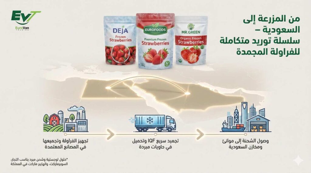⭐ مزايا التوريد المباشر للفراولة المجمدة من المصنع إلى المستورد السعودي