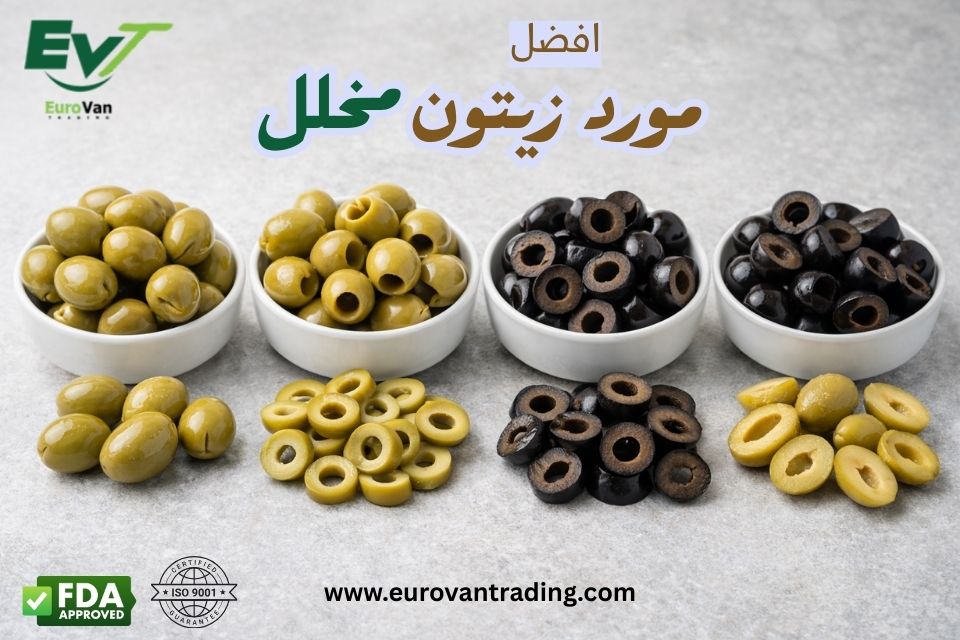 ✅ مورد زيتون مخلل من مصر للتصدير