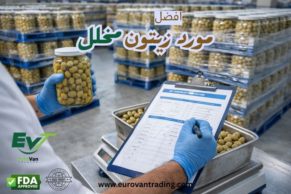 ✅ مورد زيتون مخلل من مصر للتصدير لماذا “المورد” أهم من السعر؟