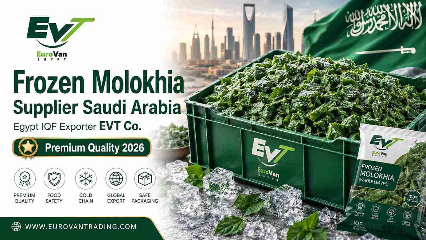Frozen Molokhia Supplier Saudi Arabia – Egypt IQF Exporter EVT Co.