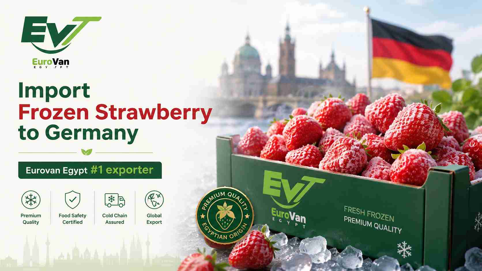 Import Frozen Strawberry to Germany Eurovan Egypt #1 exporter