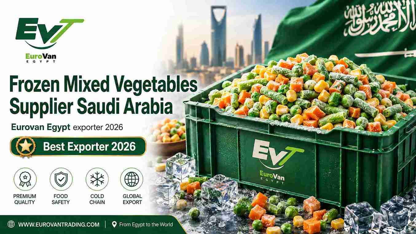 Frozen Mixed Vegetables Supplier Saudi Arabia - The Best Exporter 2026