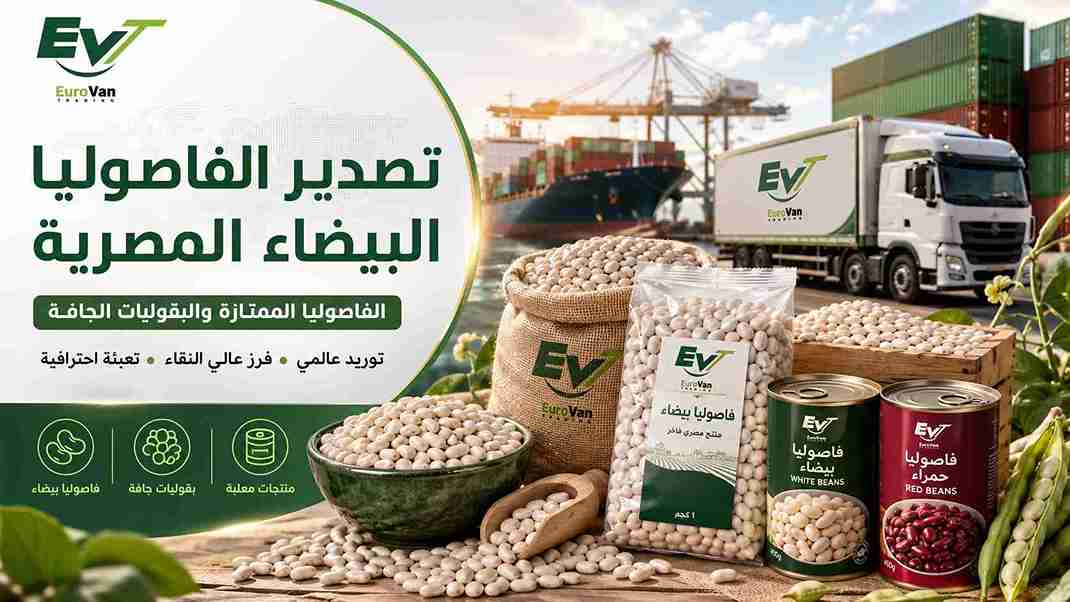 تصدير البقوليات المصرية للأسواق العربية والأوروبية